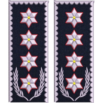 GRADE CHESTOR GENERAL DE POLITIE IGPR